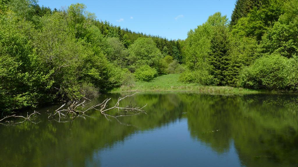 Landidyll Landhaus Liesetal Hallenberg Luaran gambar