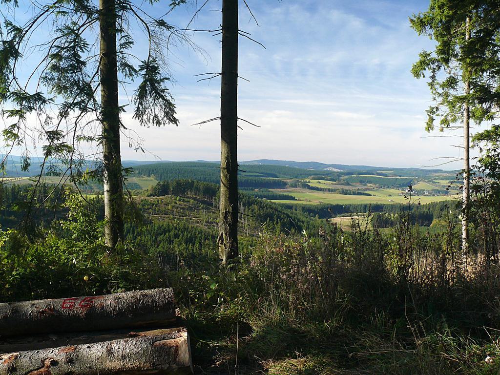 Landidyll Landhaus Liesetal Hallenberg Luaran gambar