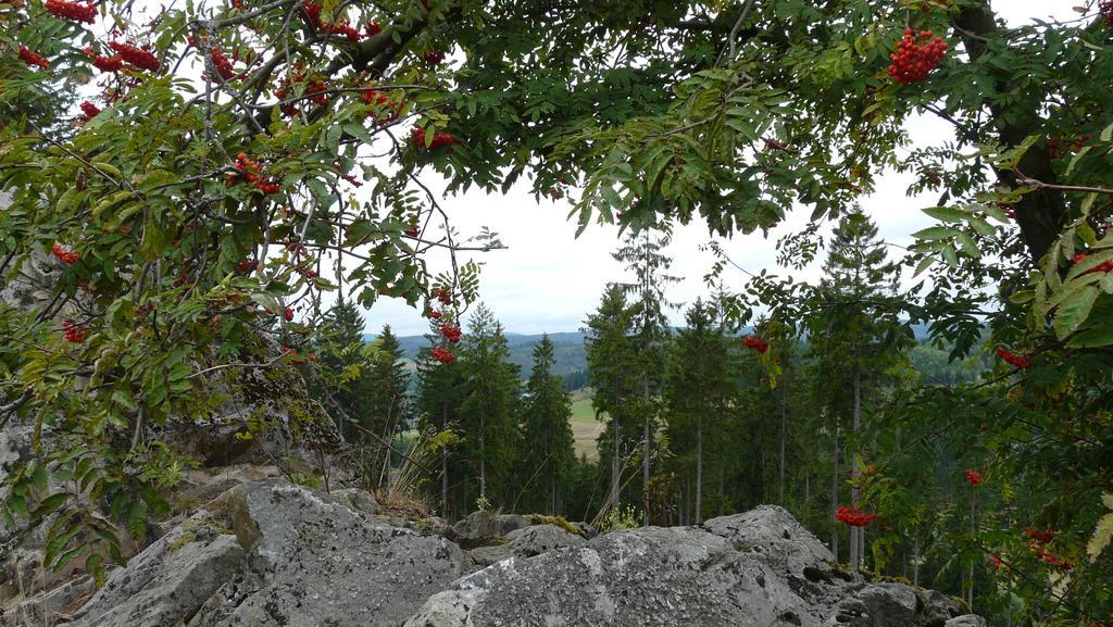 Landidyll Landhaus Liesetal Hallenberg Luaran gambar