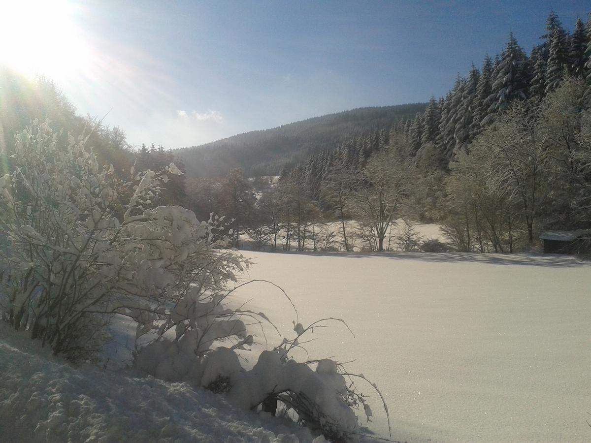Landidyll Landhaus Liesetal Hallenberg Luaran gambar